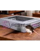 Капан за мишки и плъхове хуманен за живи гризачи метален